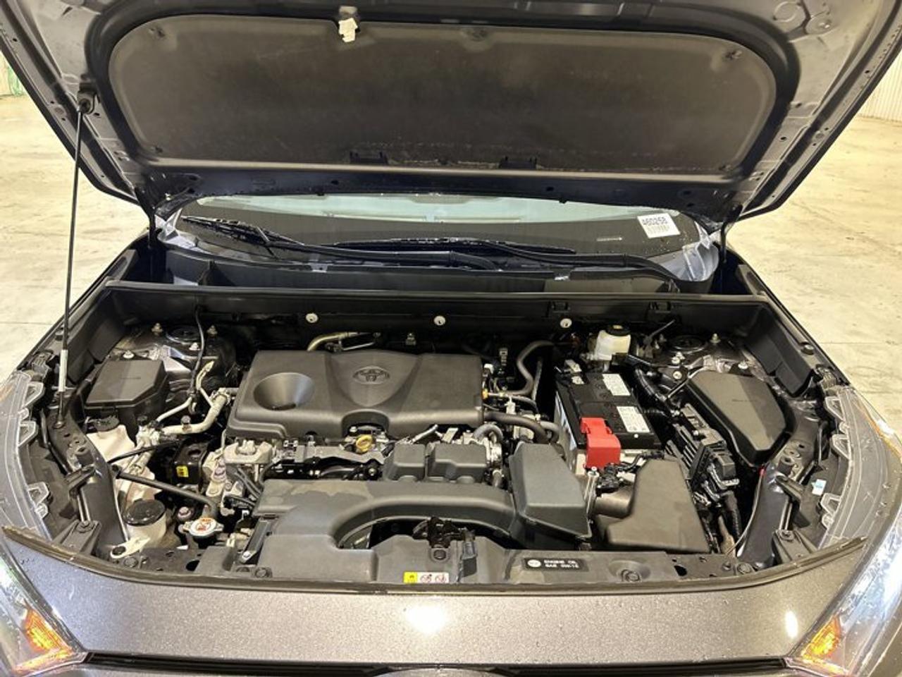 2023 Toyota RAV4 LE AWD Photo
