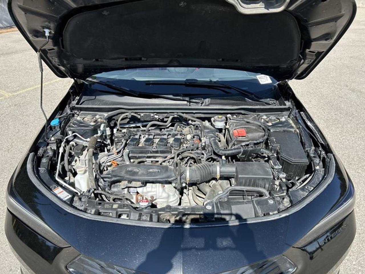 2024 Acura Integra A-Spec | Leather Seats | No Accidents Photo