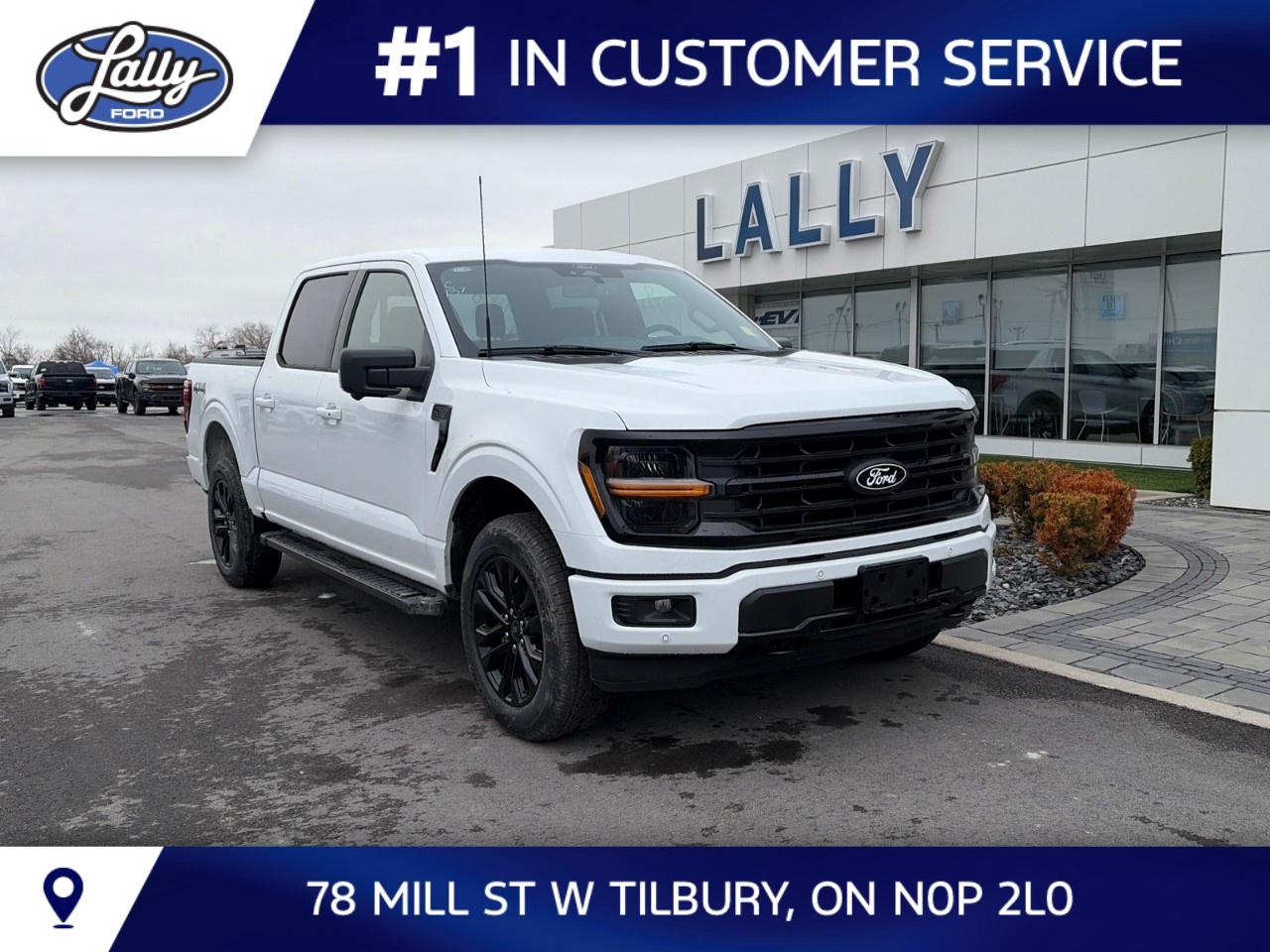 2026 Ford F-150 XLT 4WD SuperCrew 5.5' Box Photo