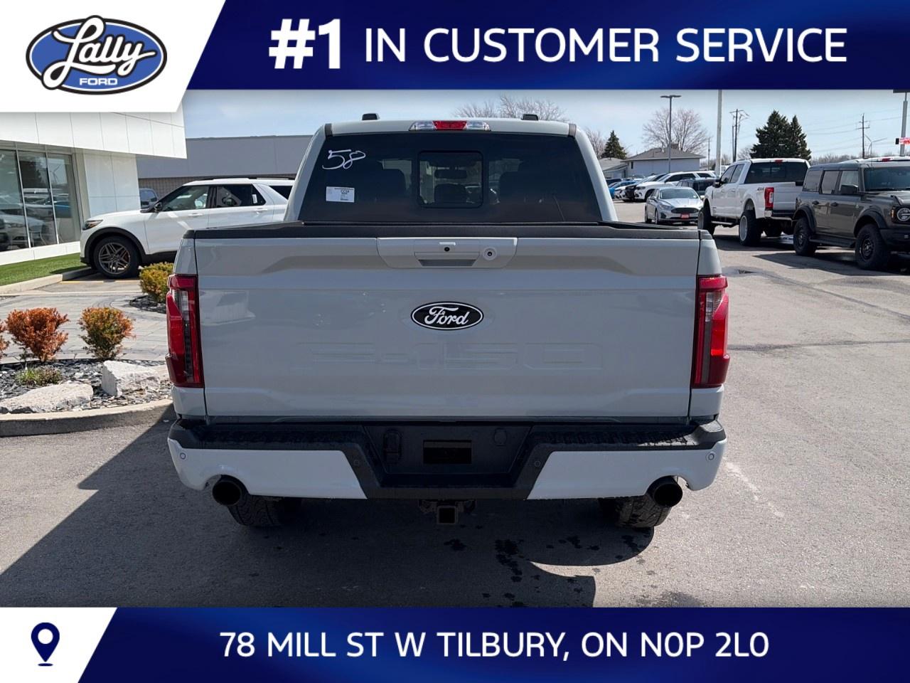 2026 Ford F-150 XLT 4WD SuperCrew 5.5' Box Photo3