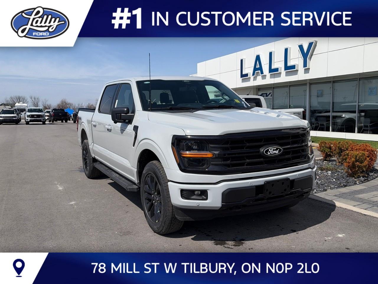 2026 Ford F-150 XLT 4WD SuperCrew 5.5' Box Photo0