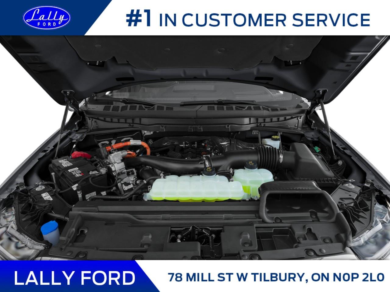 2026 Ford F-150 King Ranch 4WD SuperCrew 5.5' Box Photo