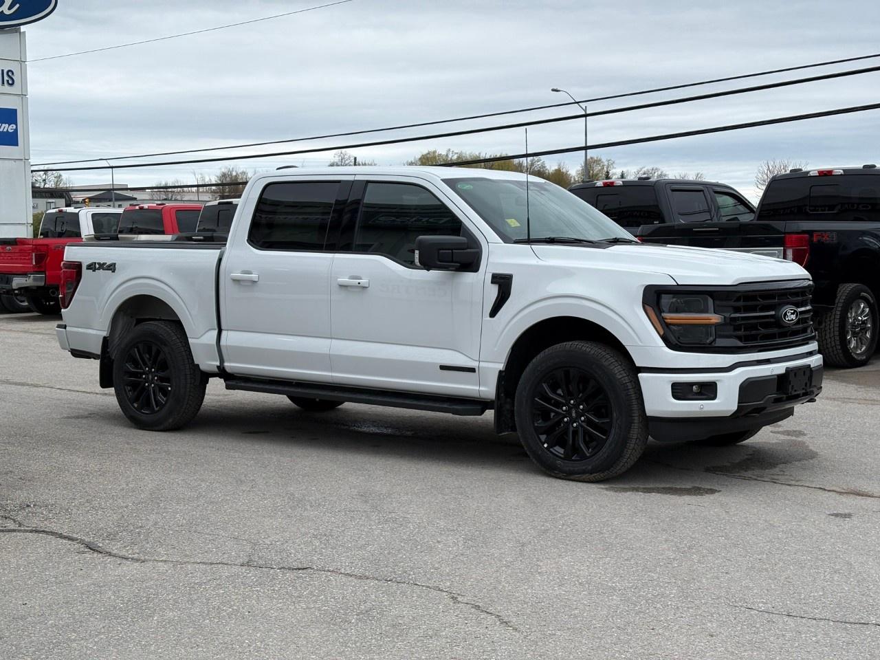 2026 Ford F-150 XLT 4WD SuperCrew 5.5' Box Photo