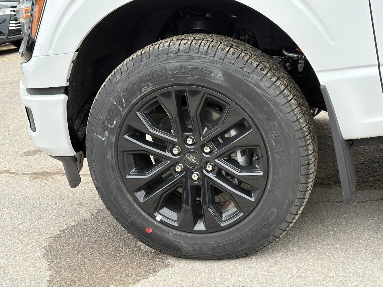 2026 Ford F-150 XLT 4WD SuperCrew 5.5' Box Photo