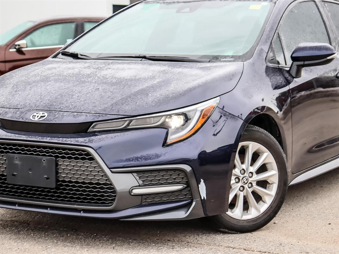 2021 Toyota Corolla  Photo
