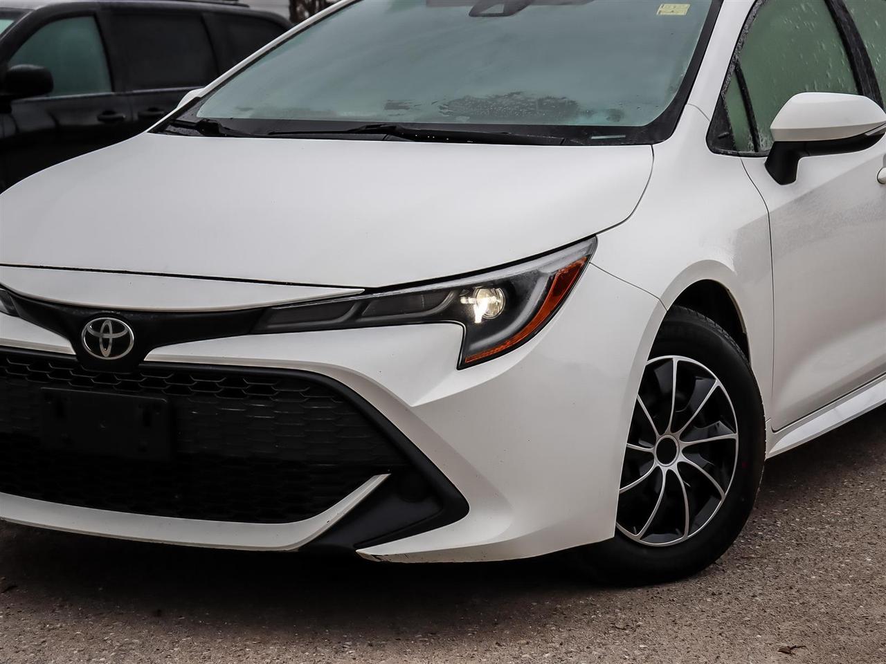 2020 Toyota Corolla  Photo
