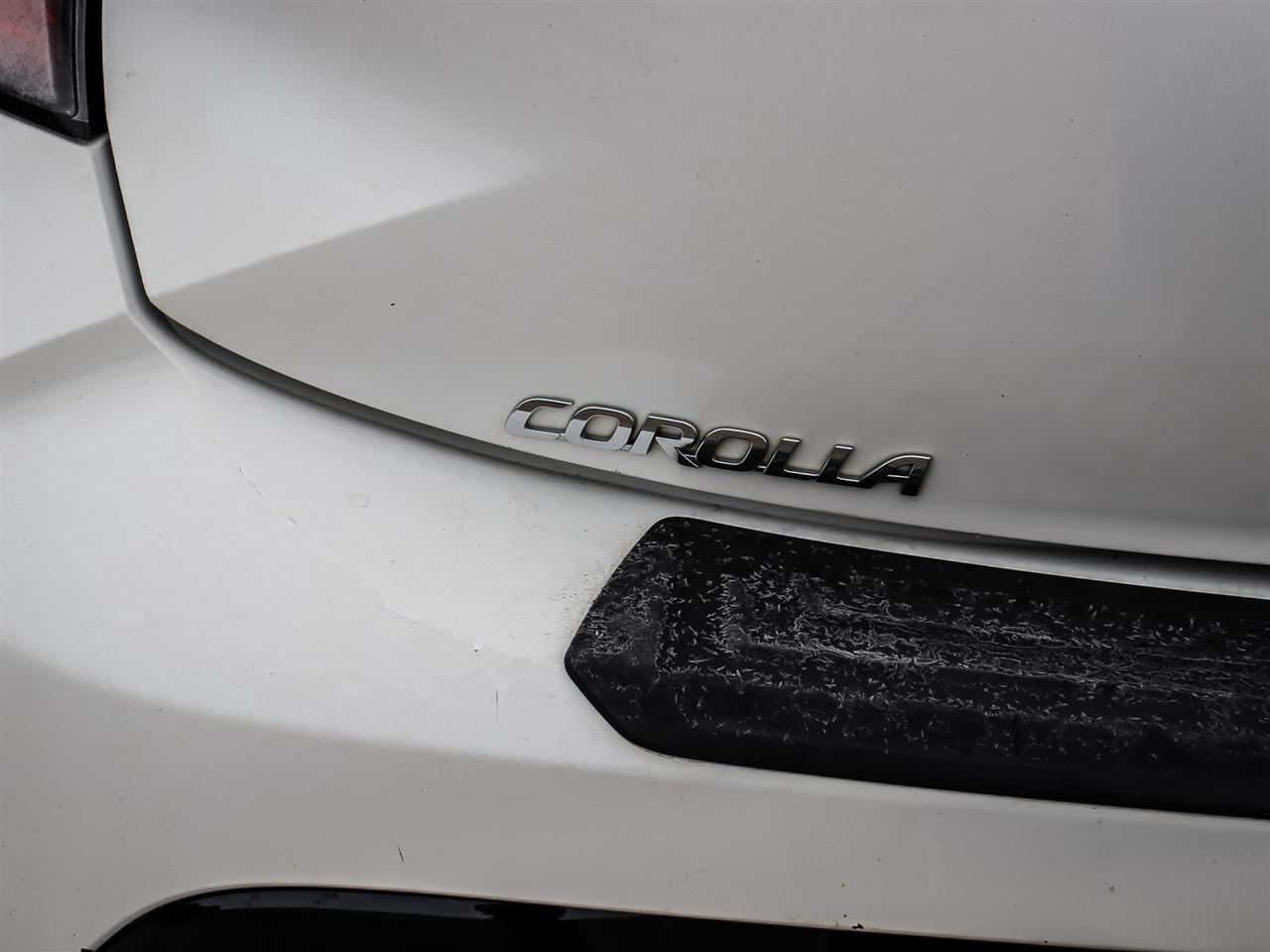 2020 Toyota Corolla  Photo