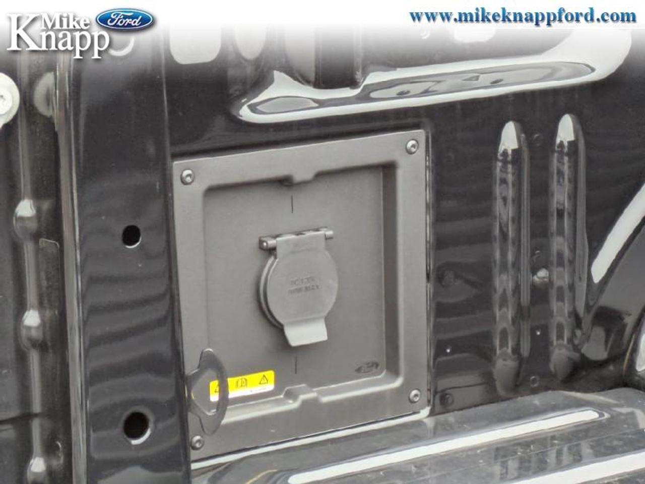 2026 Ford F-150 XLT Photo