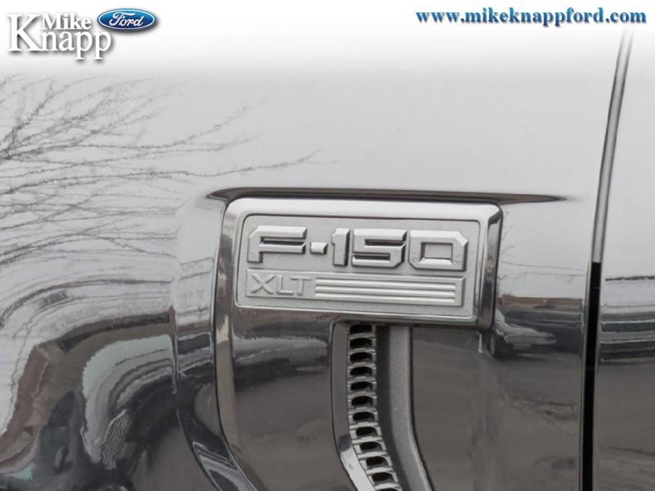 2026 Ford F-150 XLT Photo