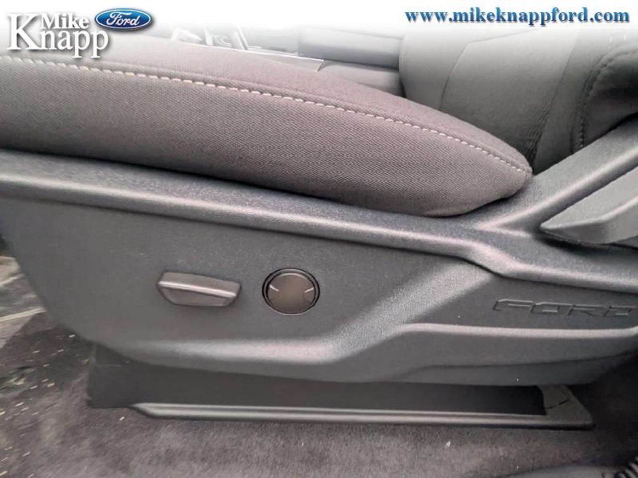 2026 Ford F-150 XLT Photo