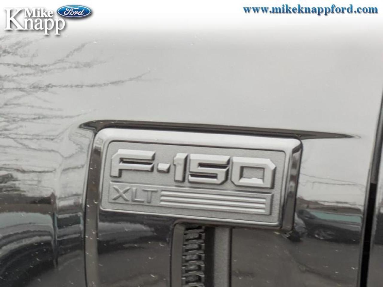 2026 Ford F-150 XLT Photo