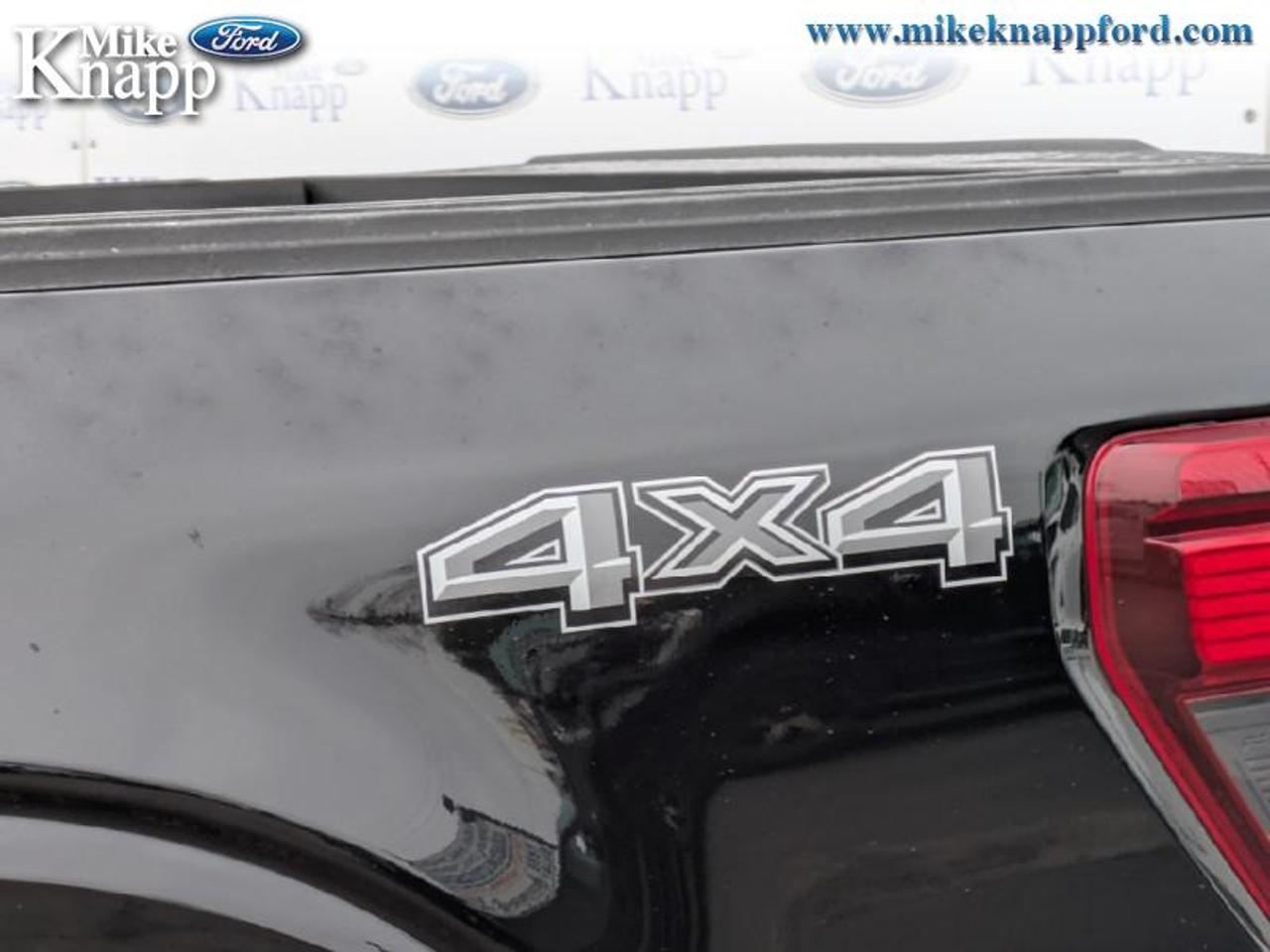 2026 Ford F-150 XLT Photo