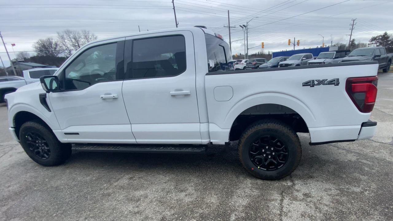 2026 Ford F-150 XLT Photo