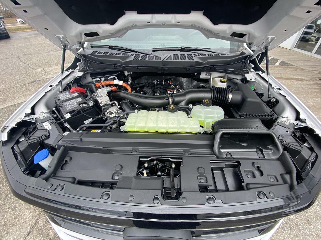 2026 Ford F-150 XLT Photo