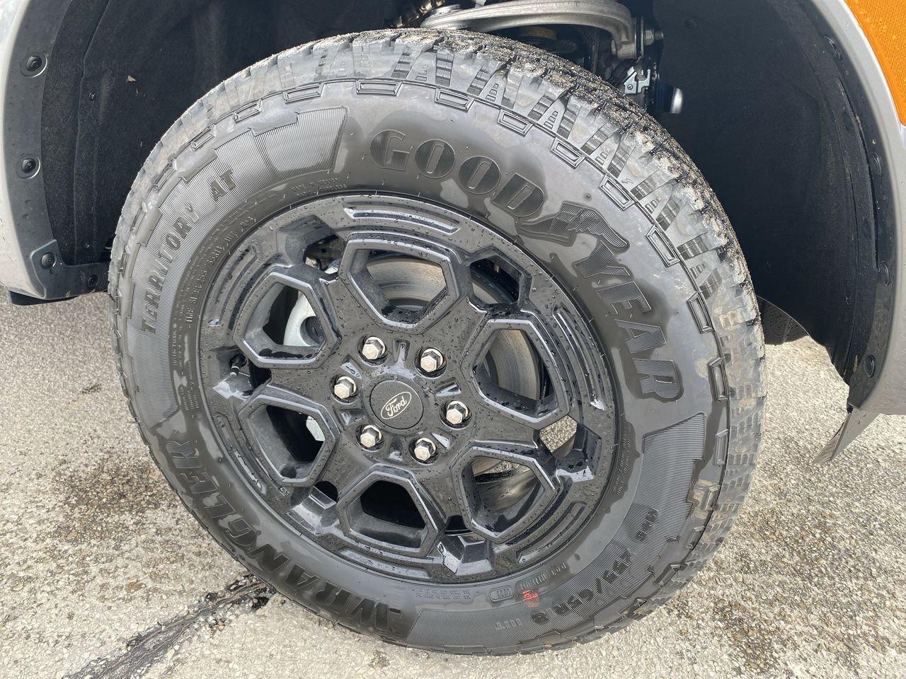 2026 Ford Ranger XLT Photo