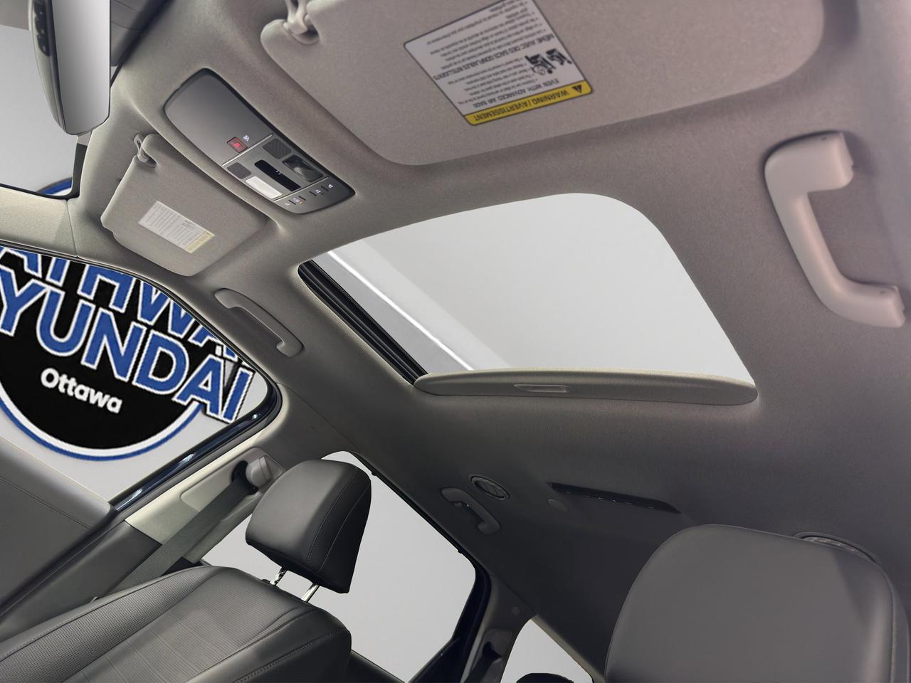 2026 Hyundai Palisade Hybrid Luxury Photo