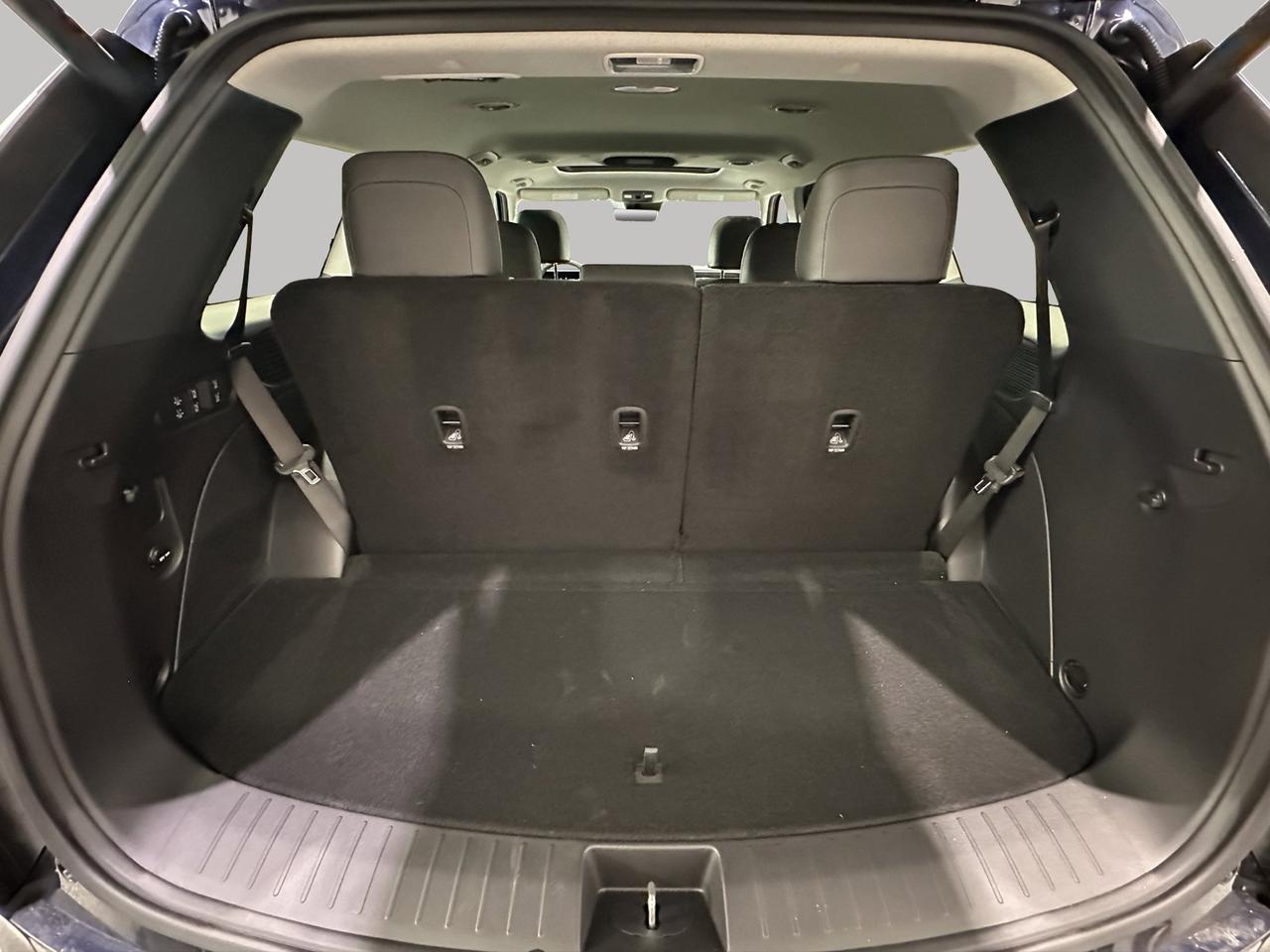 2026 Hyundai Palisade Hybrid Luxury Photo