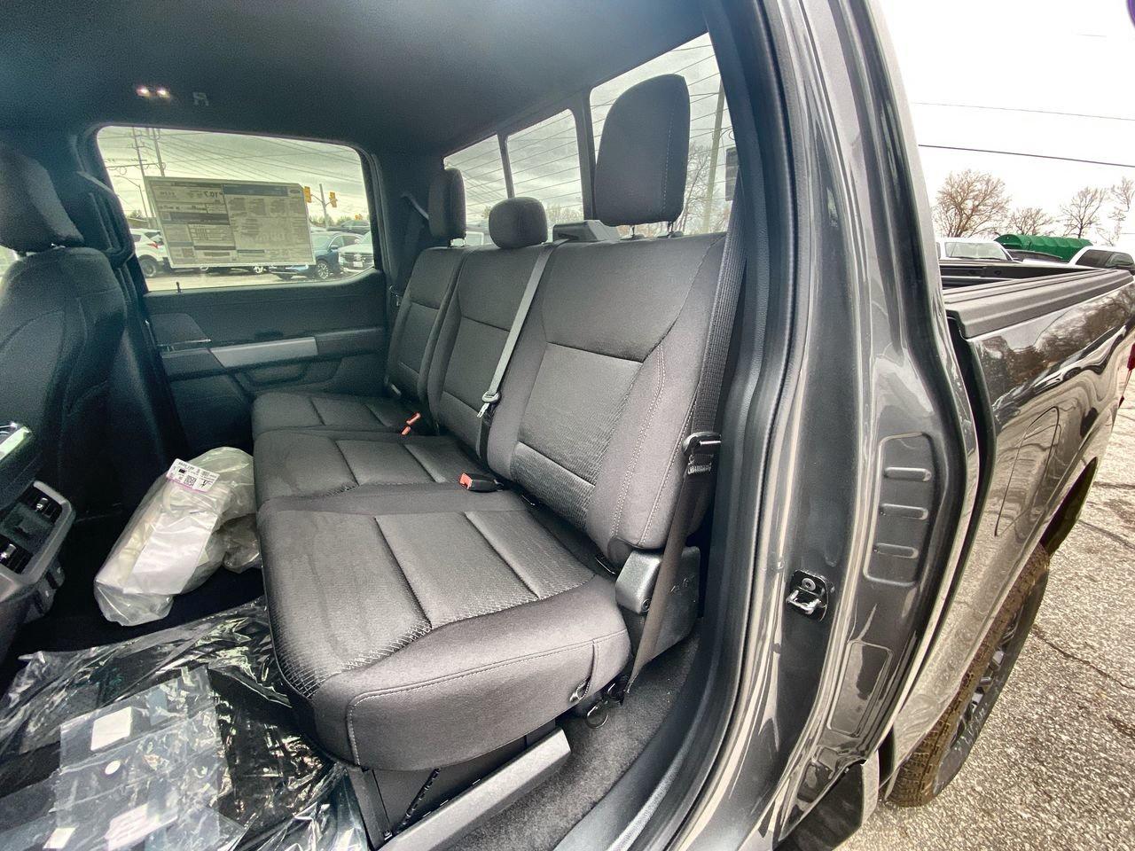 2026 Ford F-150 XLT Photo