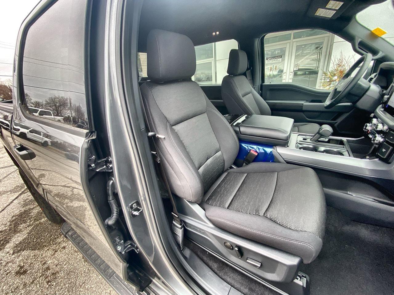 2026 Ford F-150 XLT Photo