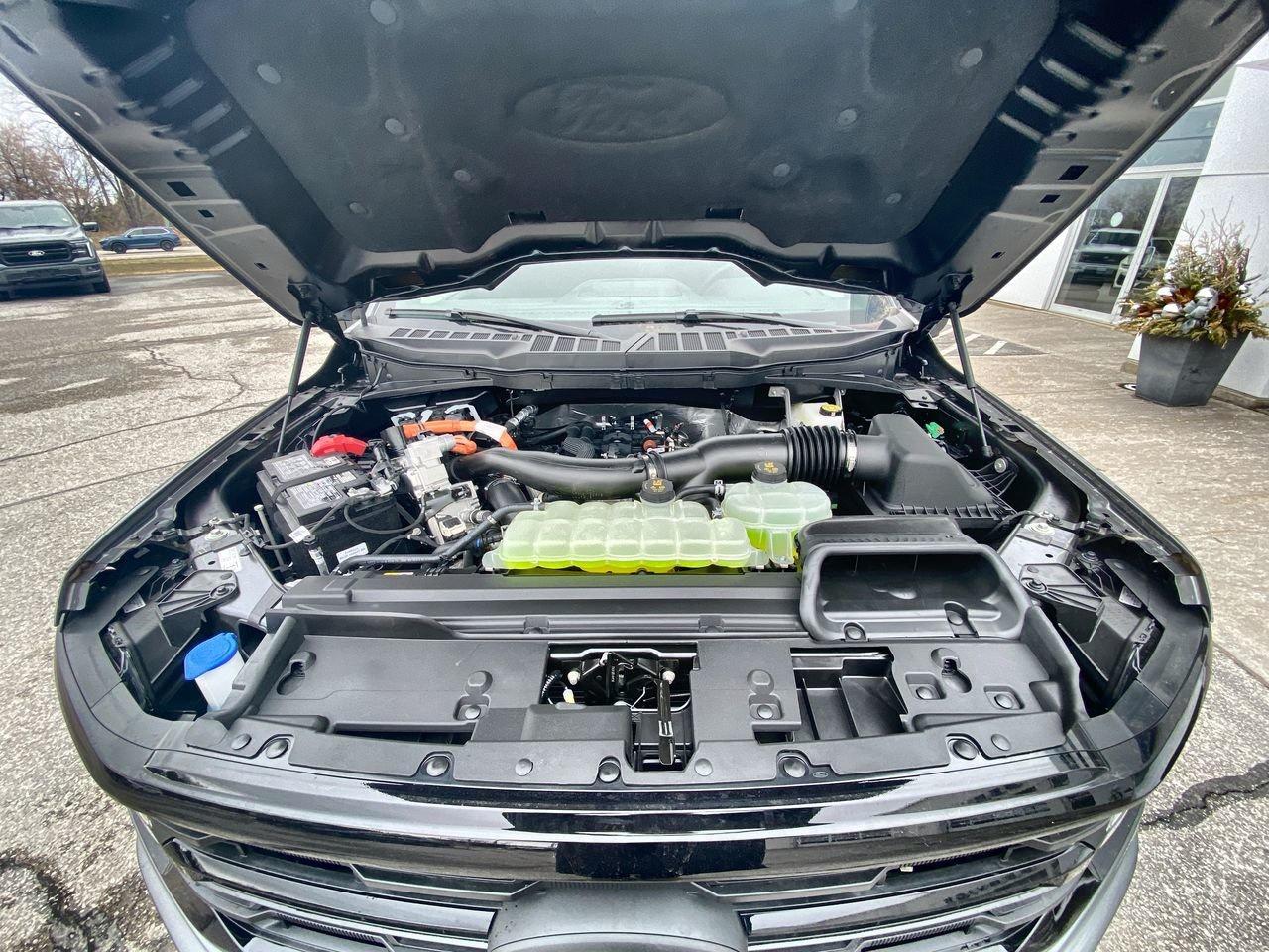 2026 Ford F-150 XLT Photo