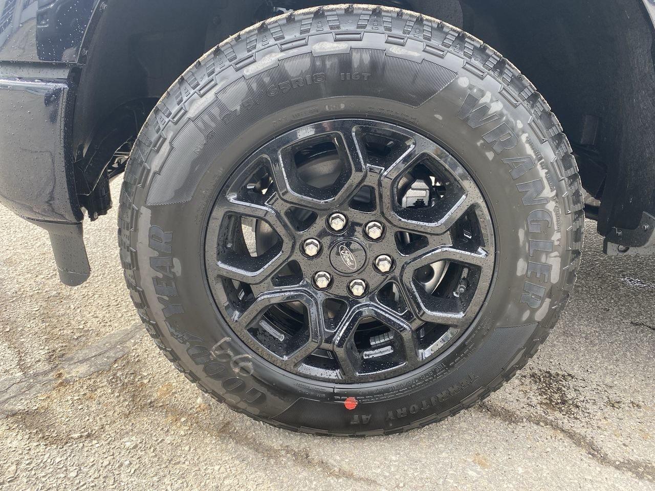 2026 Ford F-150 XLT Photo