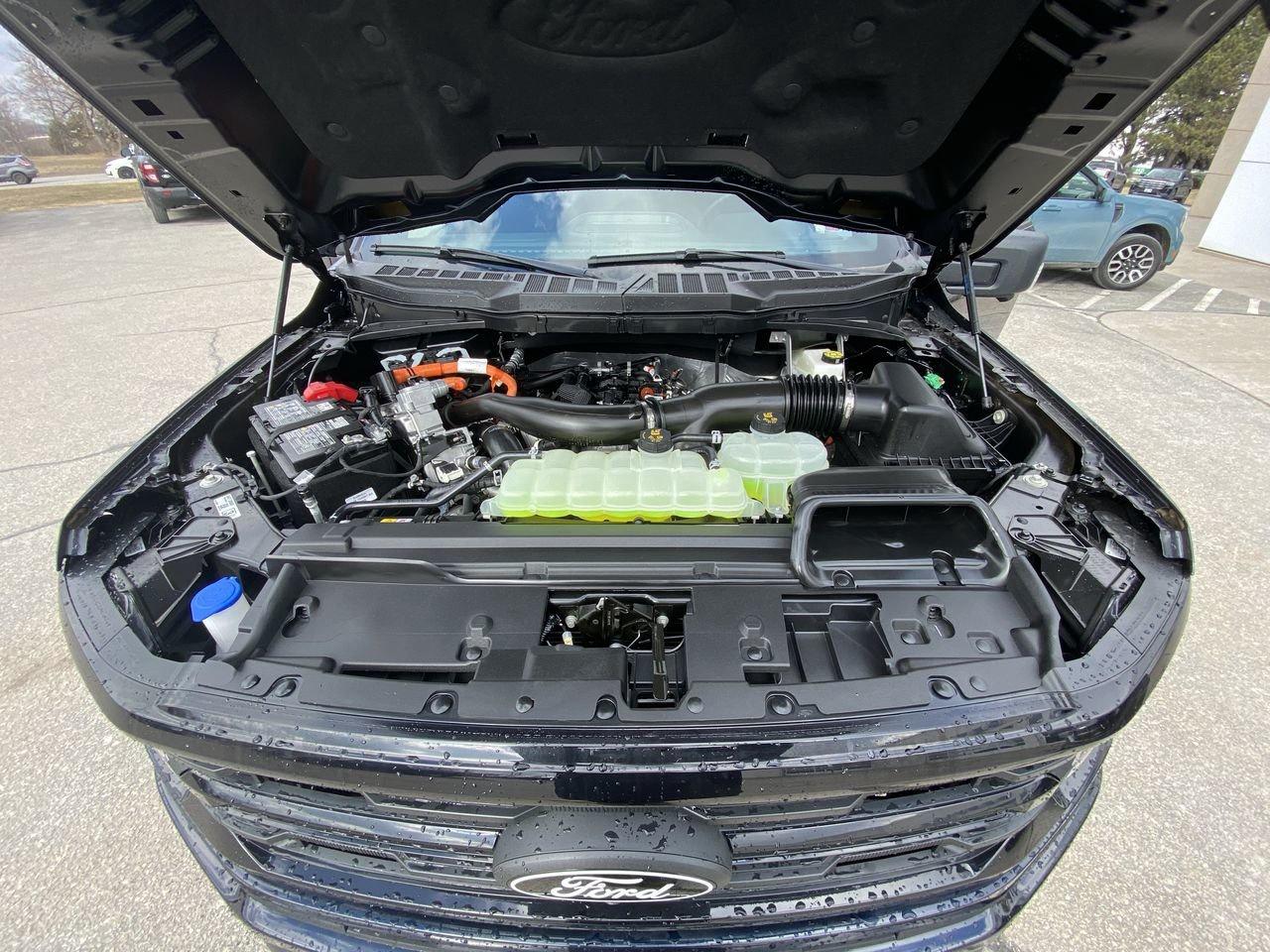 2026 Ford F-150 XLT Photo