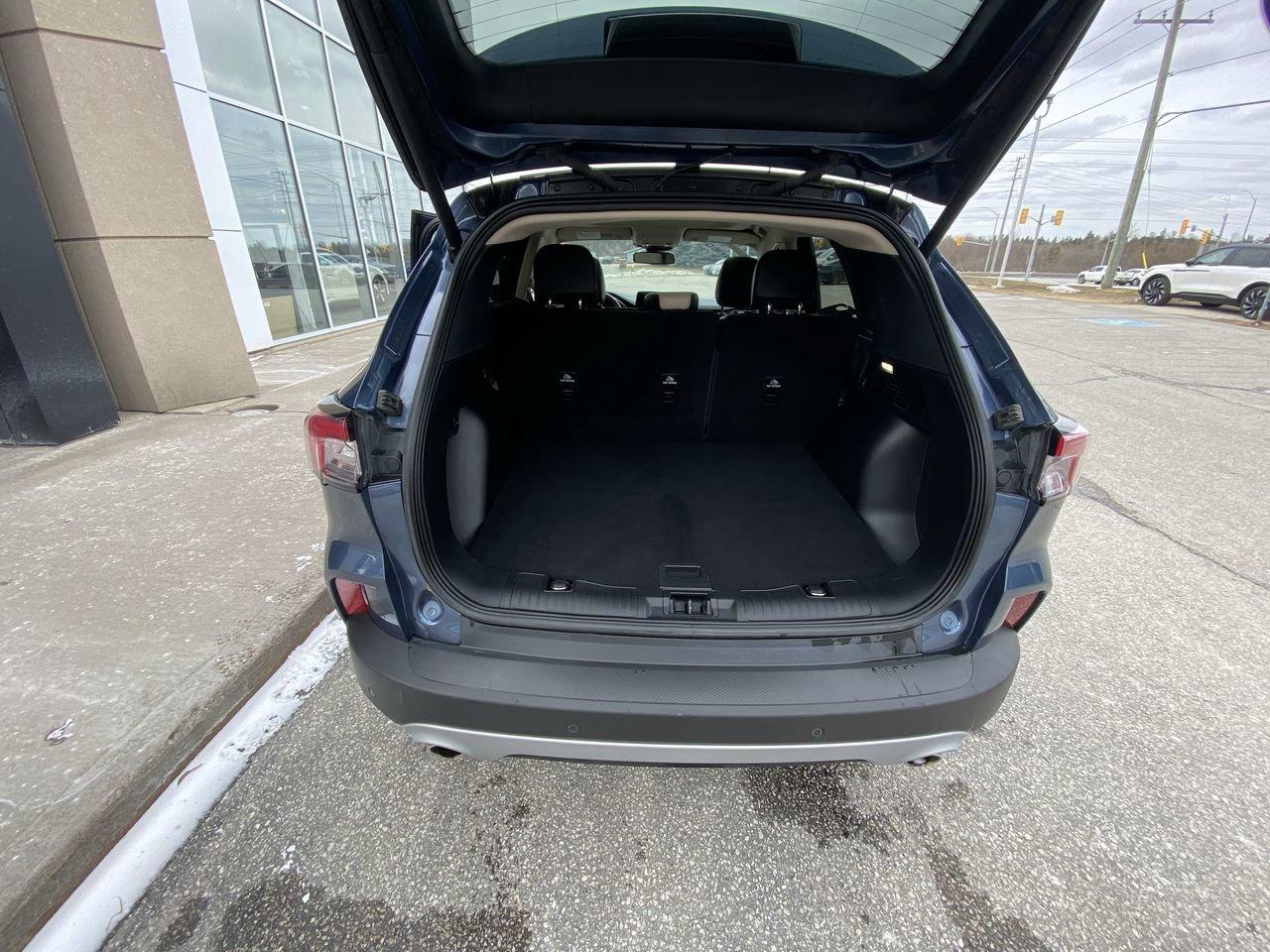 2020 Ford Escape Titanium Hybrid Photo