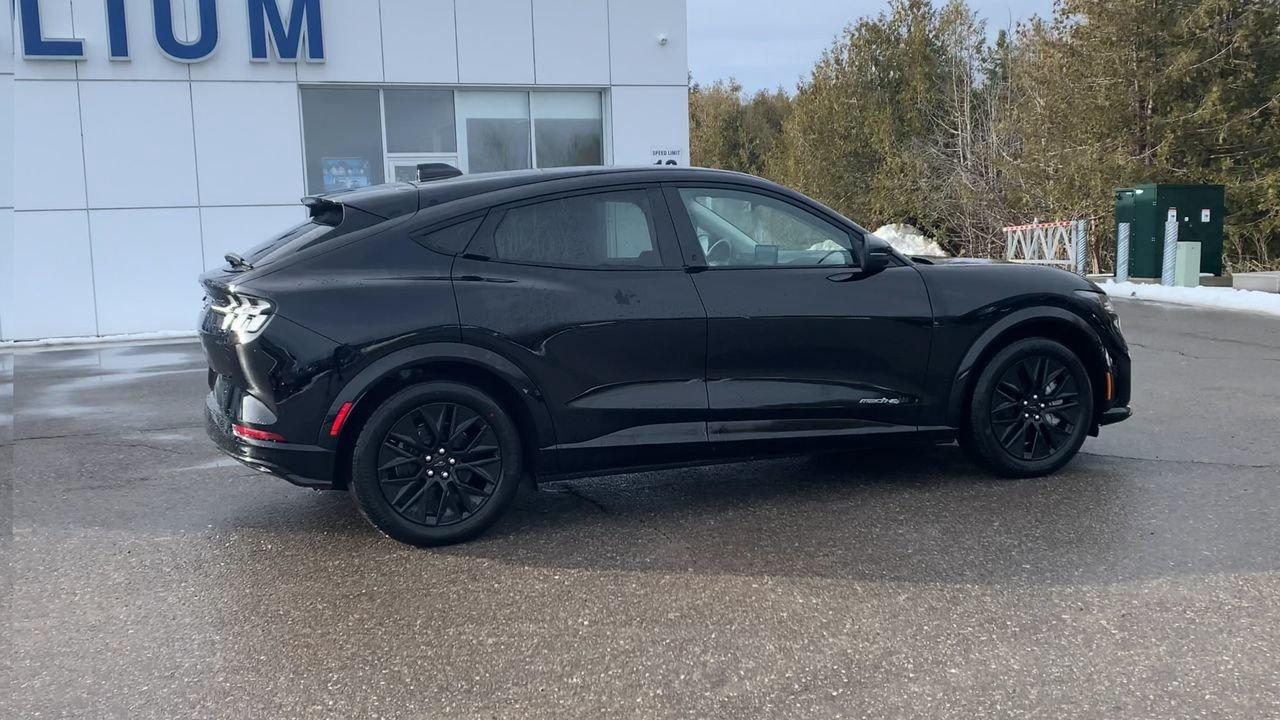 2026 Ford Mustang Mach-E Premium Photo
