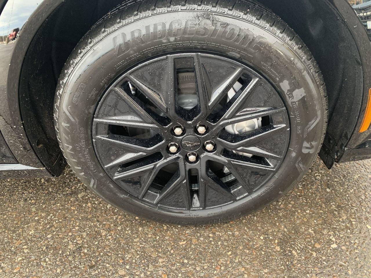 2026 Ford Mustang Mach-E Premium Photo