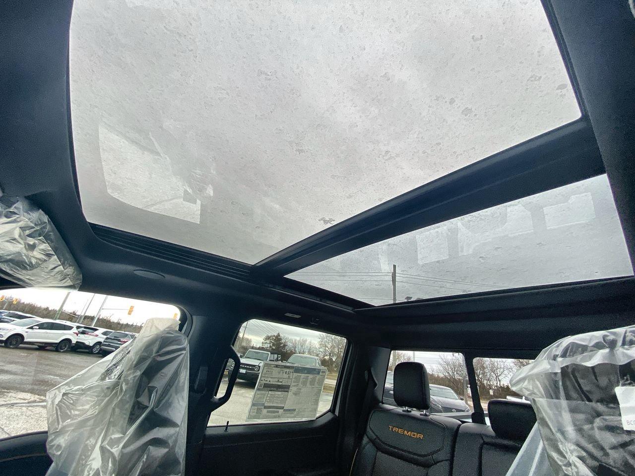 2026 Ford F-150 Tremor Photo