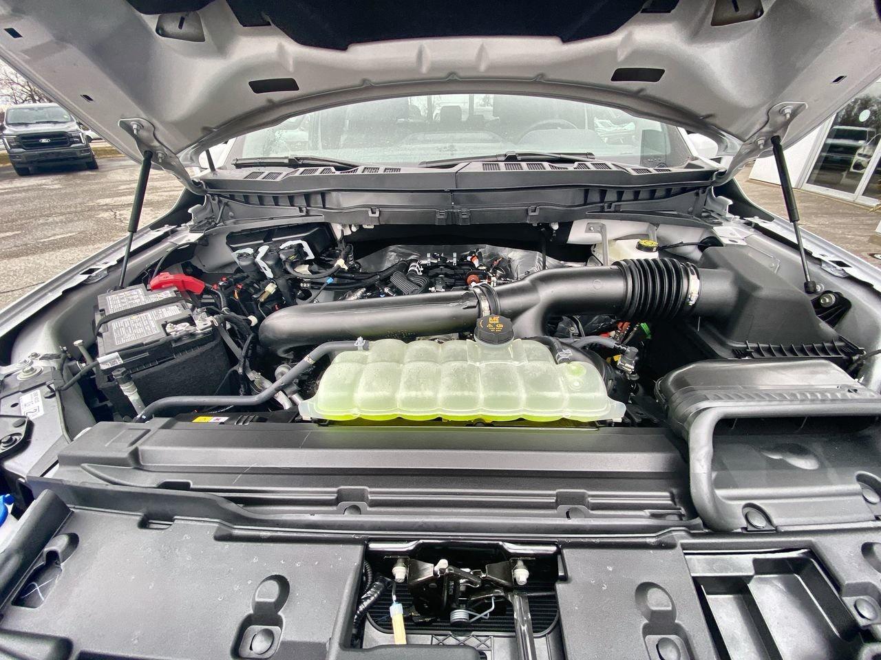 2026 Ford F-150 Tremor Photo