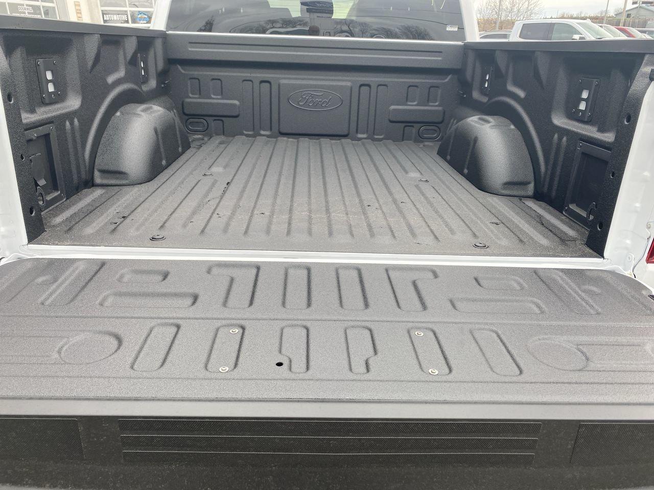 2026 Ford F-150 XLT Photo