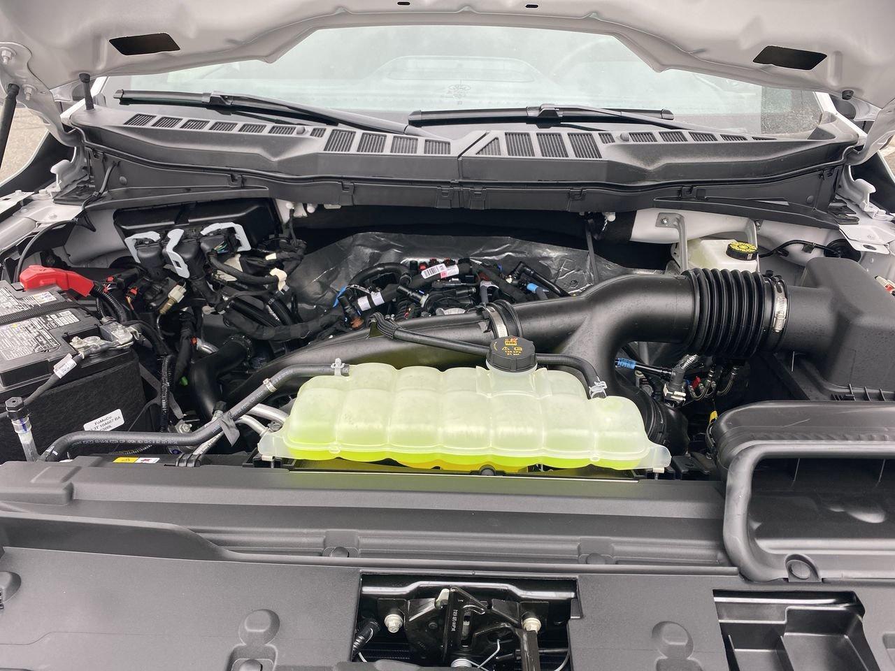 2026 Ford F-150 XLT Photo