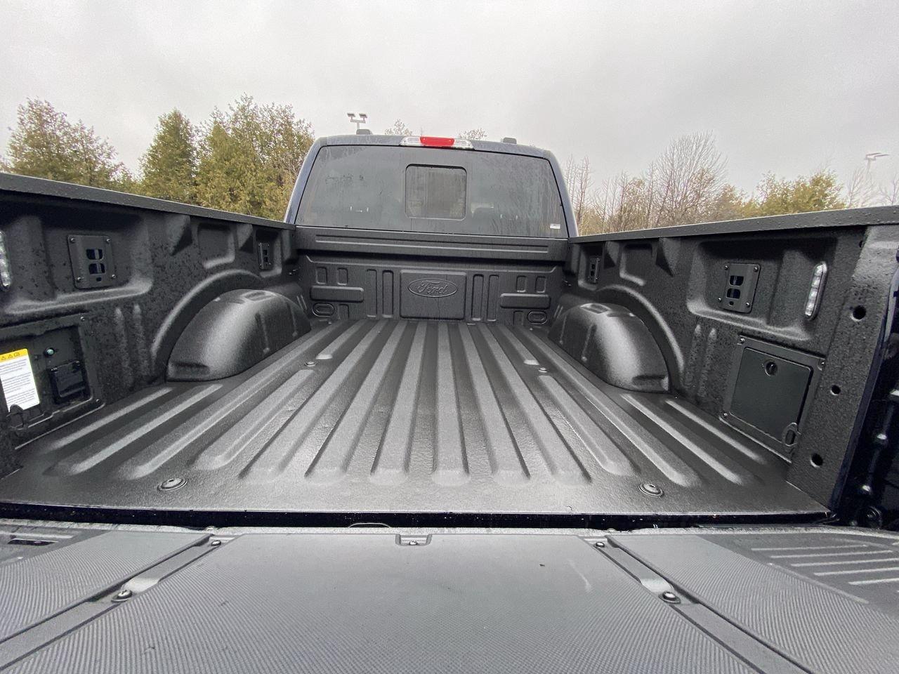 2026 Ford F-150 XLT Photo