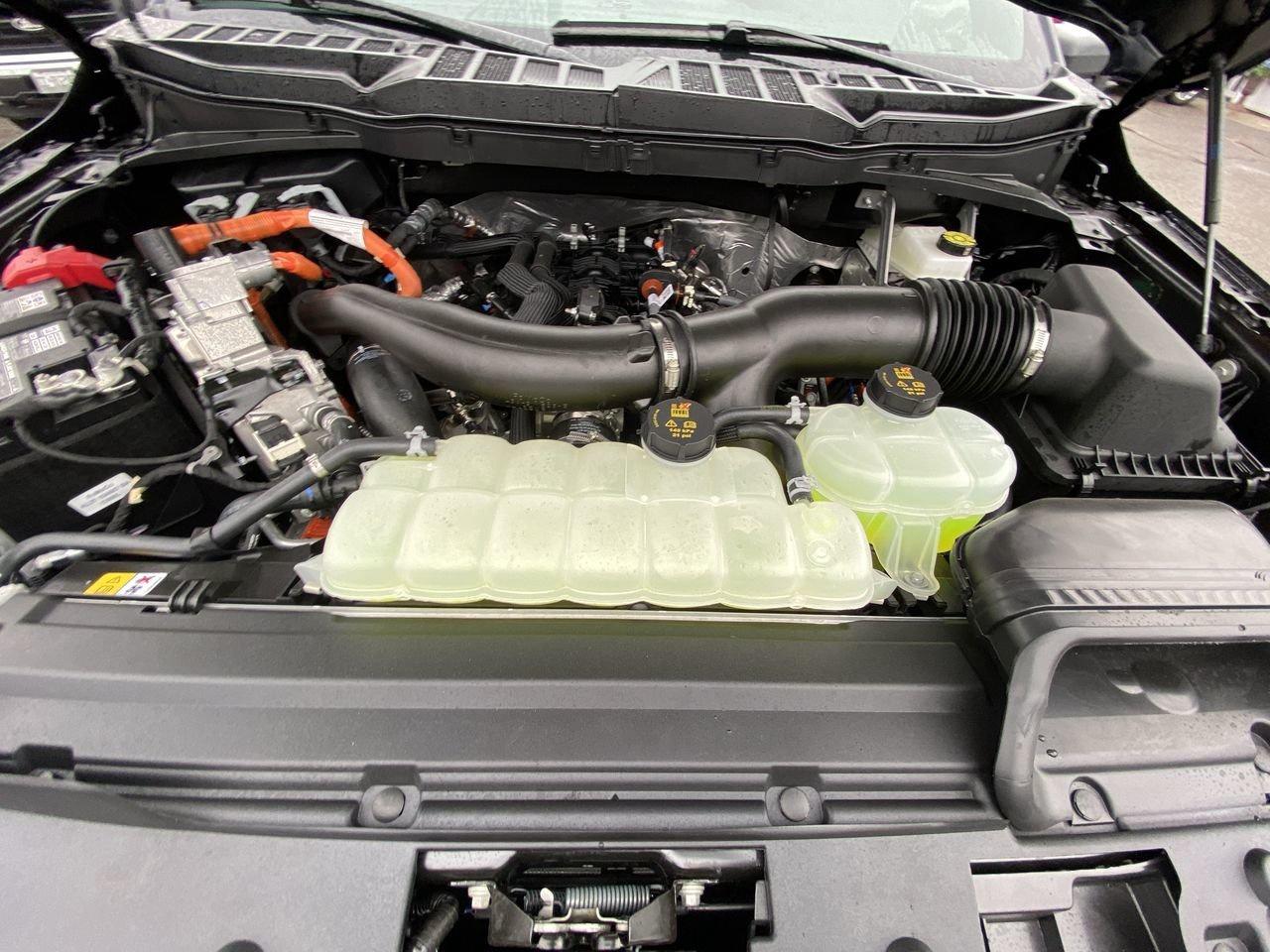 2026 Ford F-150 XLT Photo