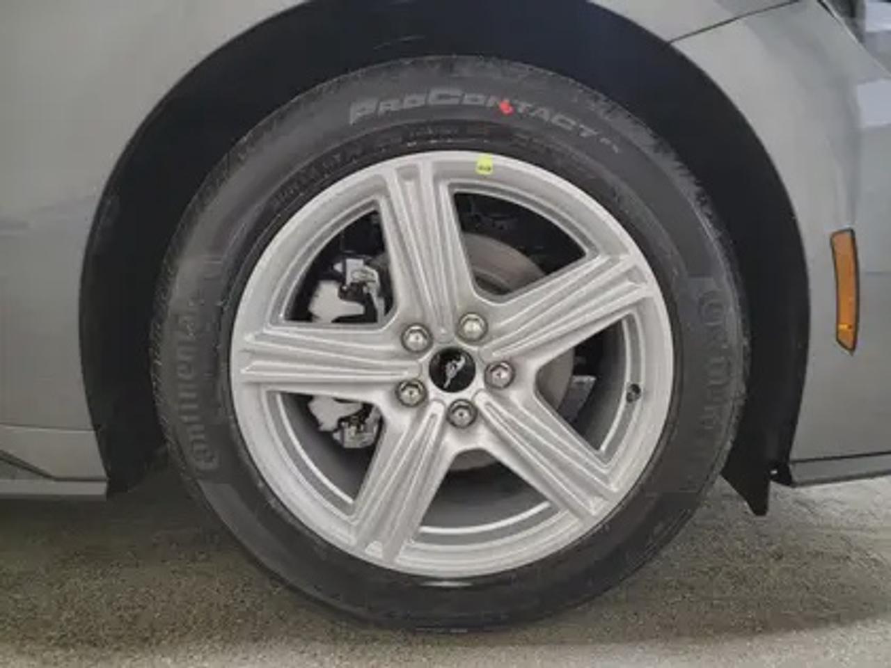 13755949