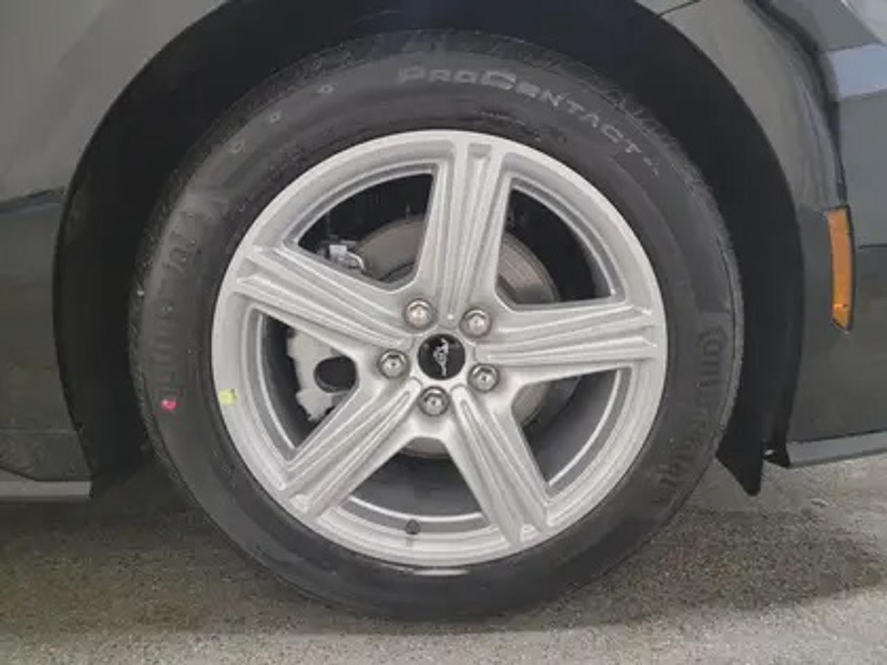 13755955.822296547