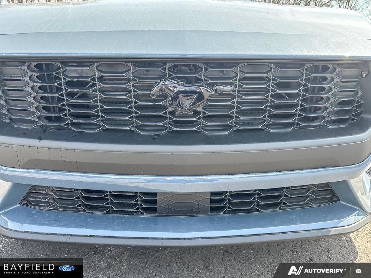 2026 Ford Mustang Premium Photo