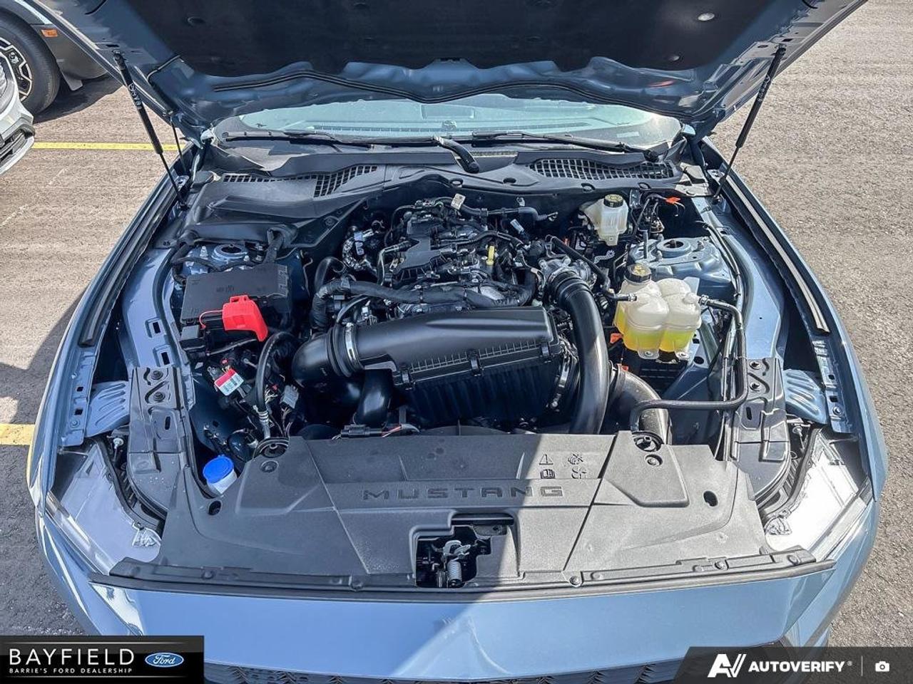 2026 Ford Mustang Premium Photo