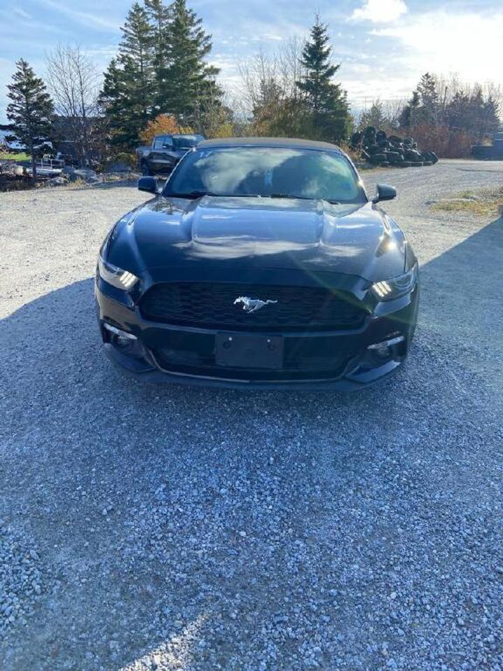 2017 Ford Mustang V6 Photo