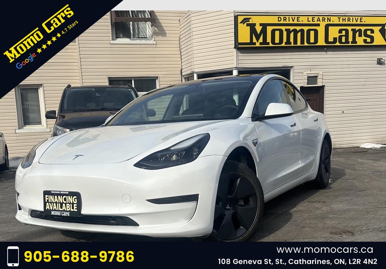 2023 Tesla Model 3 Base Photo