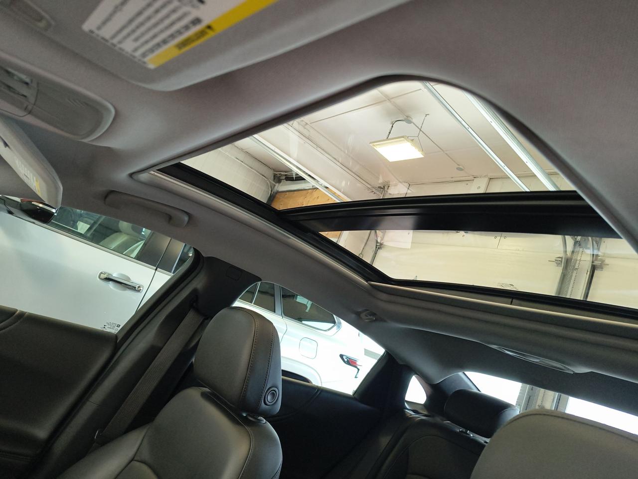 2023 Chevrolet Malibu 2LT Photo0