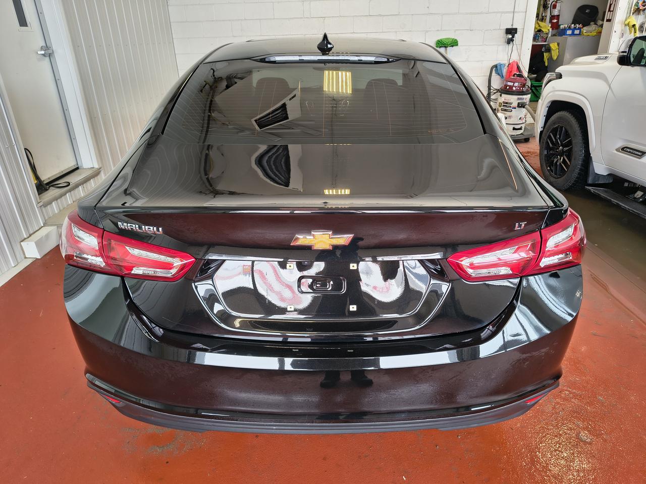 2023 Chevrolet Malibu 2LT Photo