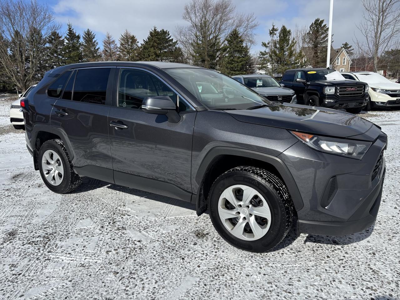 2023 Toyota RAV4 LE Photo