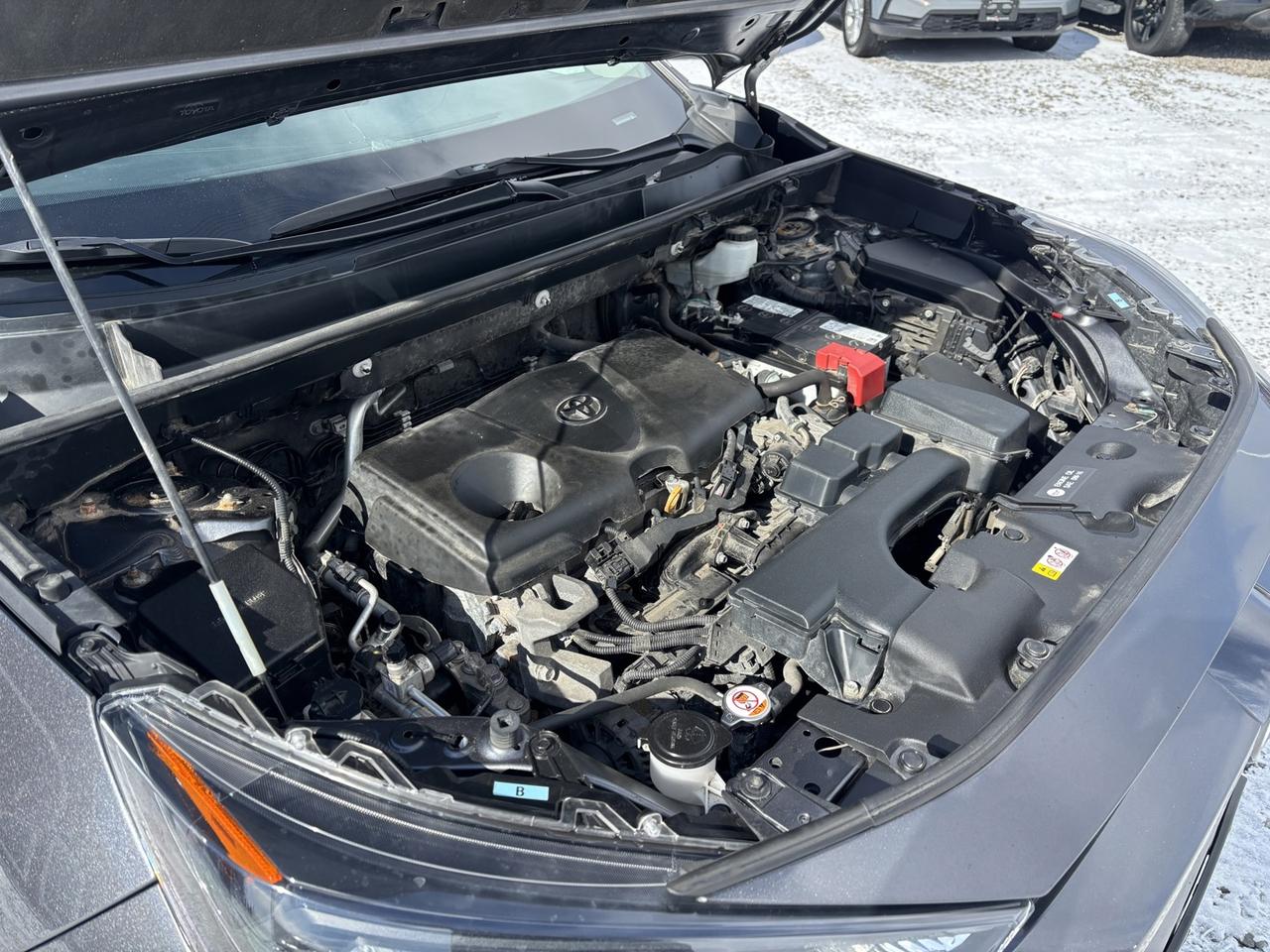 2023 Toyota RAV4 LE Photo