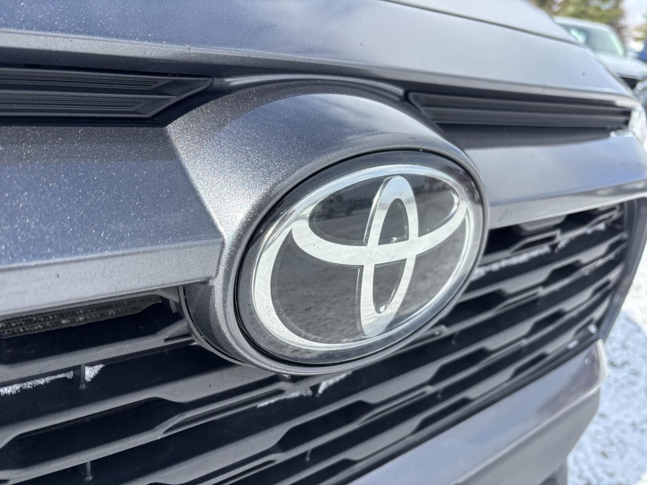 2023 Toyota RAV4 LE Photo