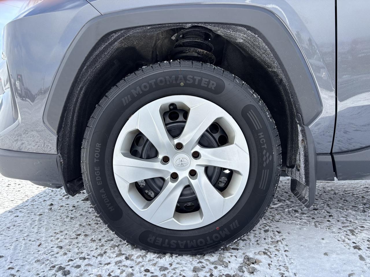 2023 Toyota RAV4 LE Photo