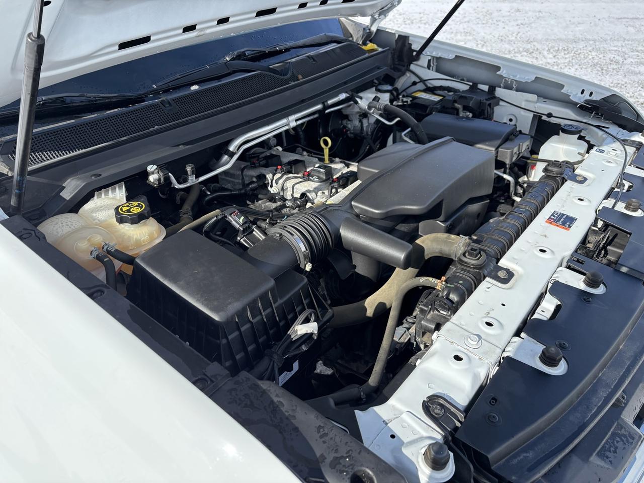 2022 Chevrolet Colorado Work Truck Photo