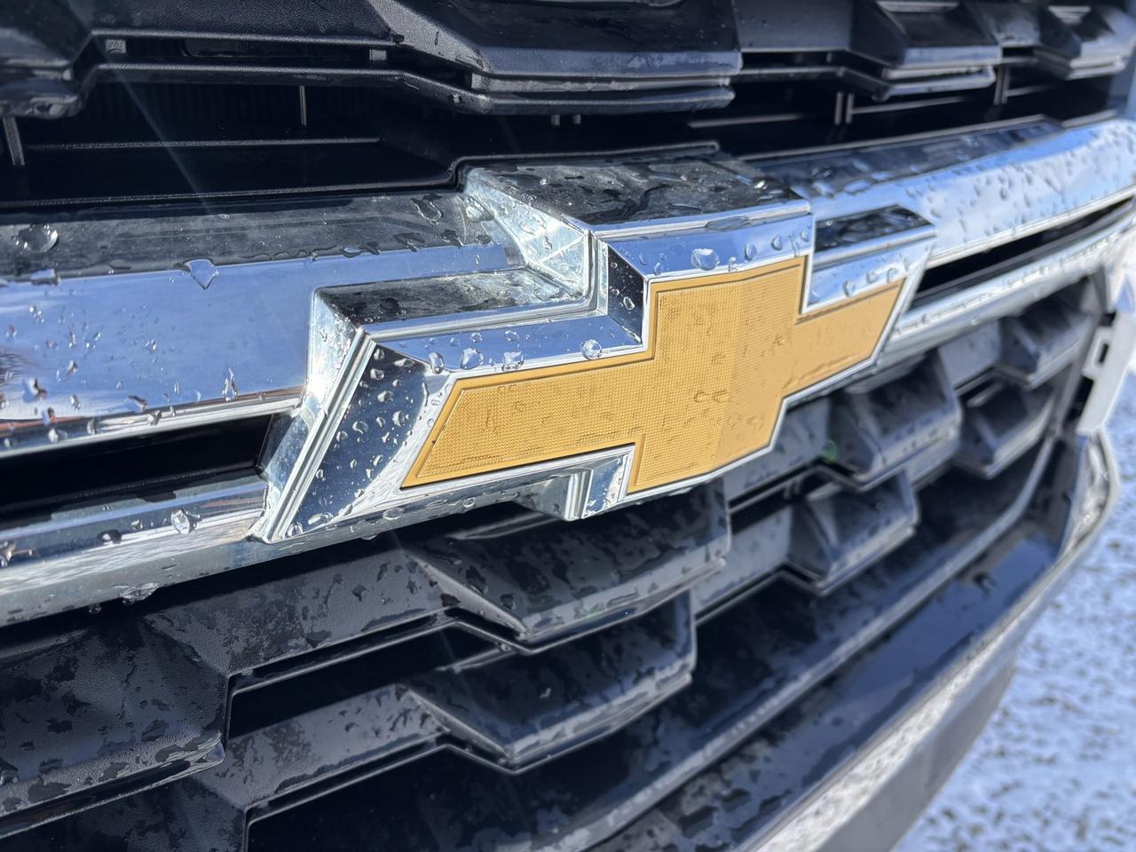 2022 Chevrolet Colorado Work Truck Photo