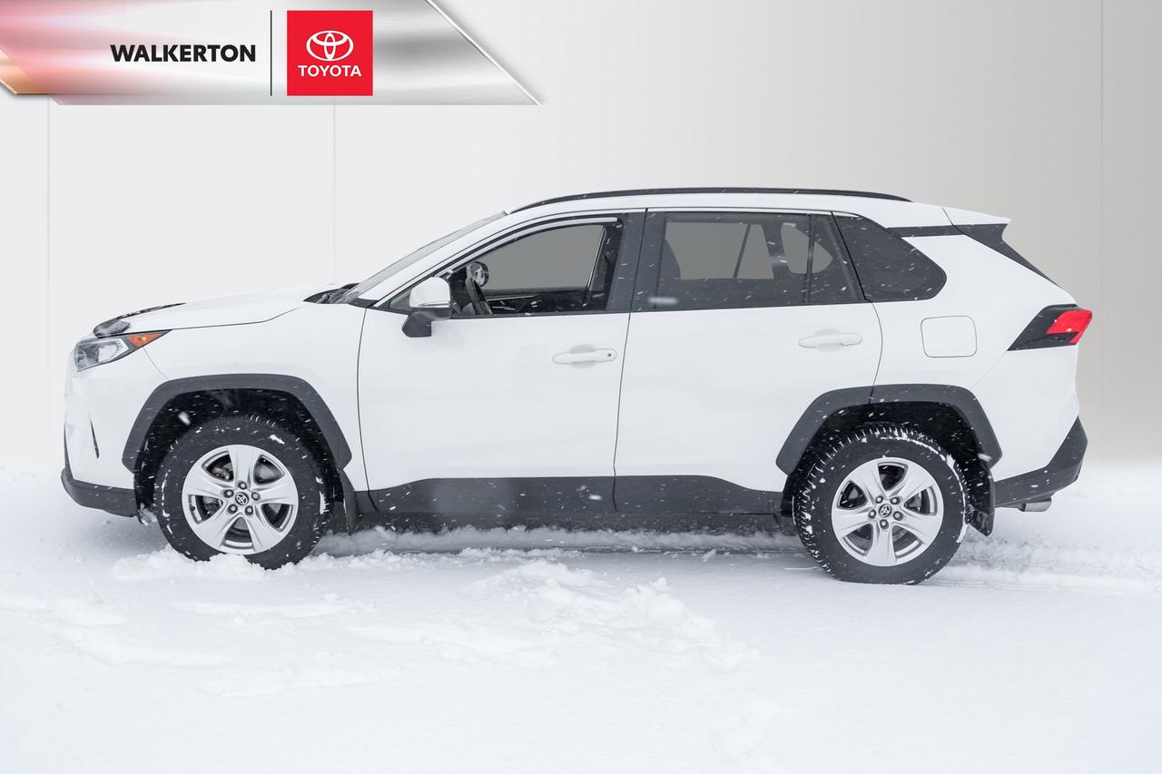 2021 Toyota RAV4 XLE 4dr All-wheel Drive Photo